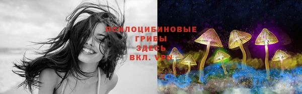 МДМА Алексин