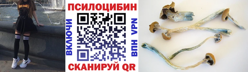 Псилоцибиновые грибы мухоморы Андреаполь